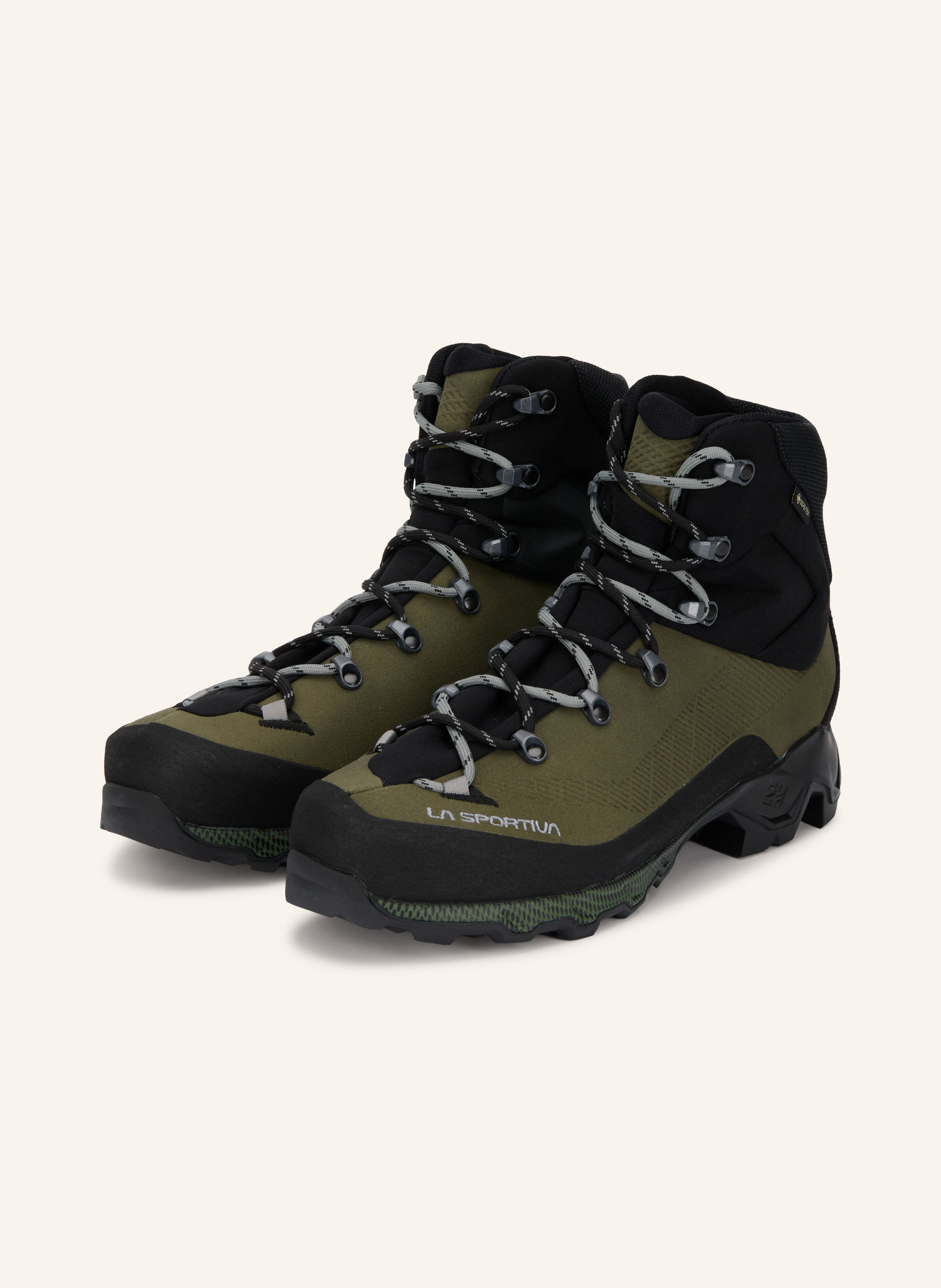 LA SPORTIVA Bergschuhe AEQUILIBRIUM TREK GTX
