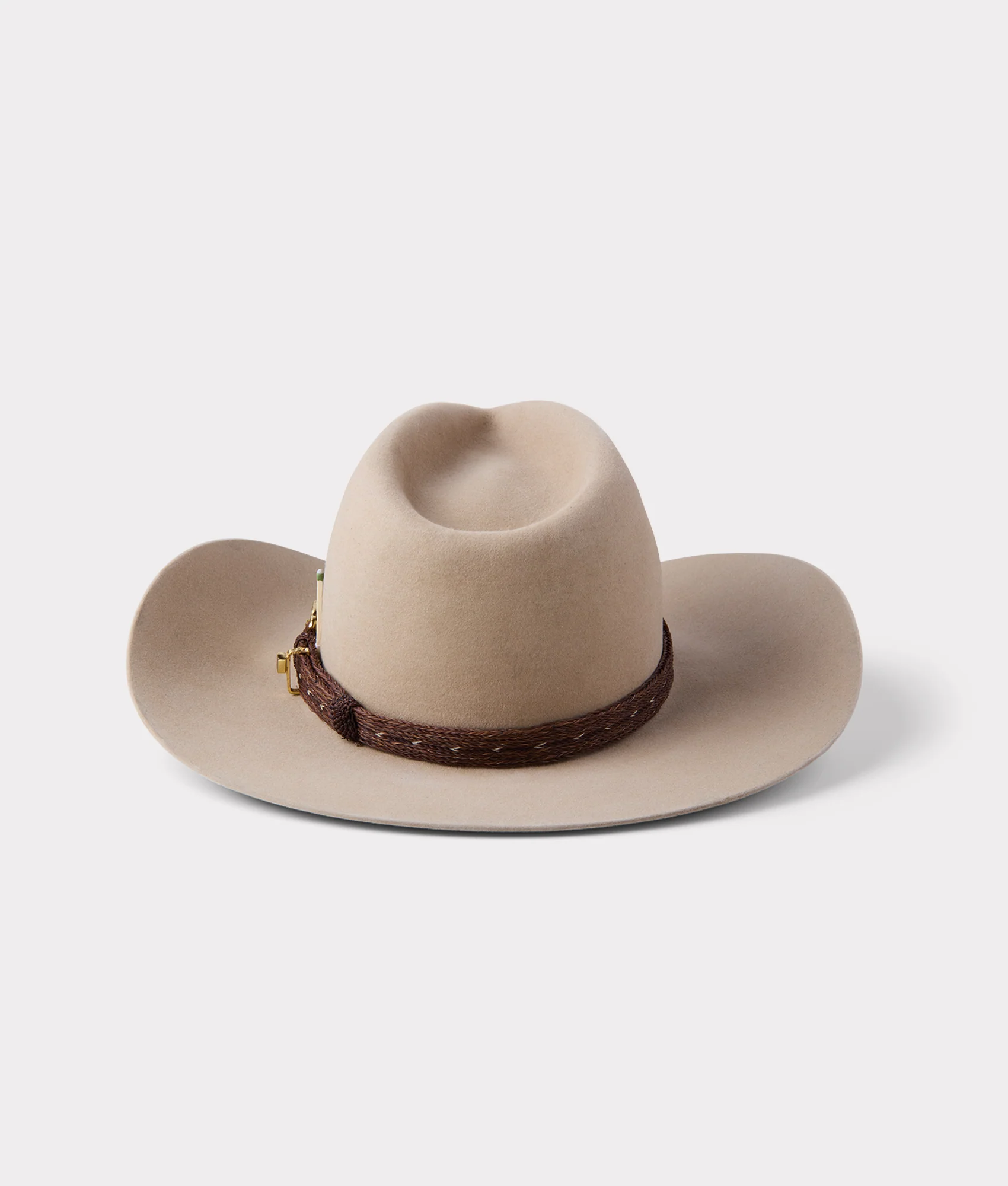 Palomino Holy Paw - Sahara