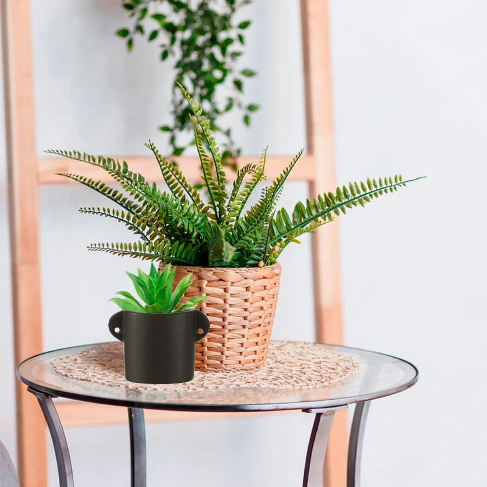 - Cache pot en céramique Noire