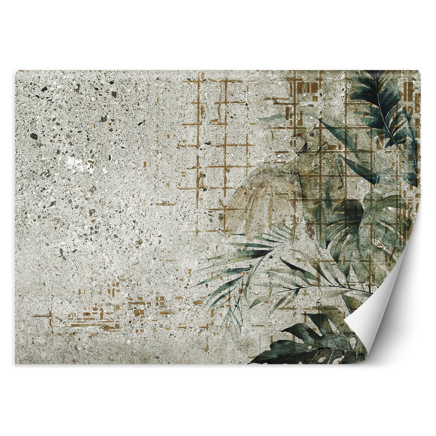 Feeby Fototapeta, Beton Papuga Ptak Liście Monstera Zielony 150x105