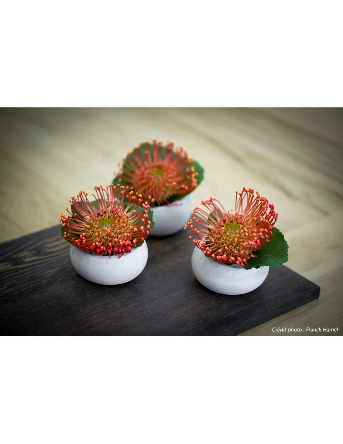 BRUT - Lot de 3 photophores en béton beryl green