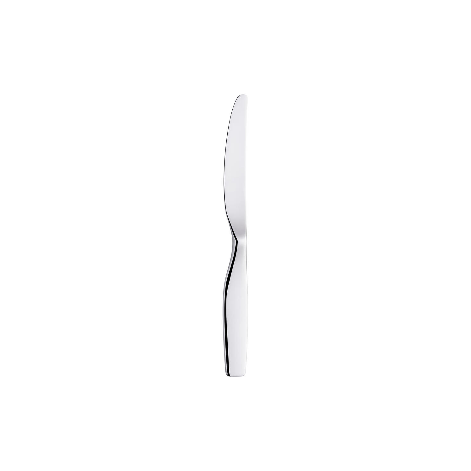 Citterio 98 dessertkniv, blank