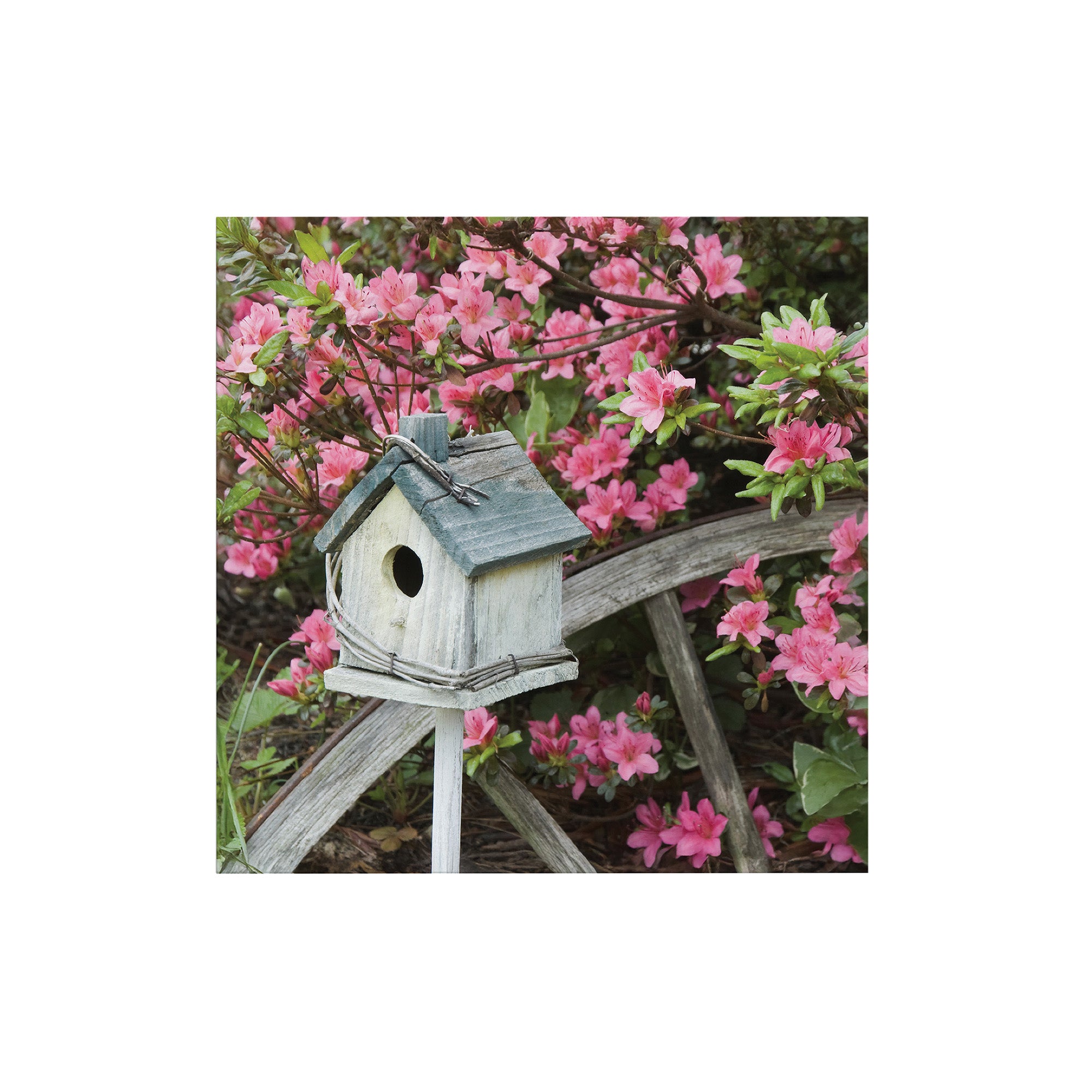 Art for the Home Buitencanvas Vogelhuisje