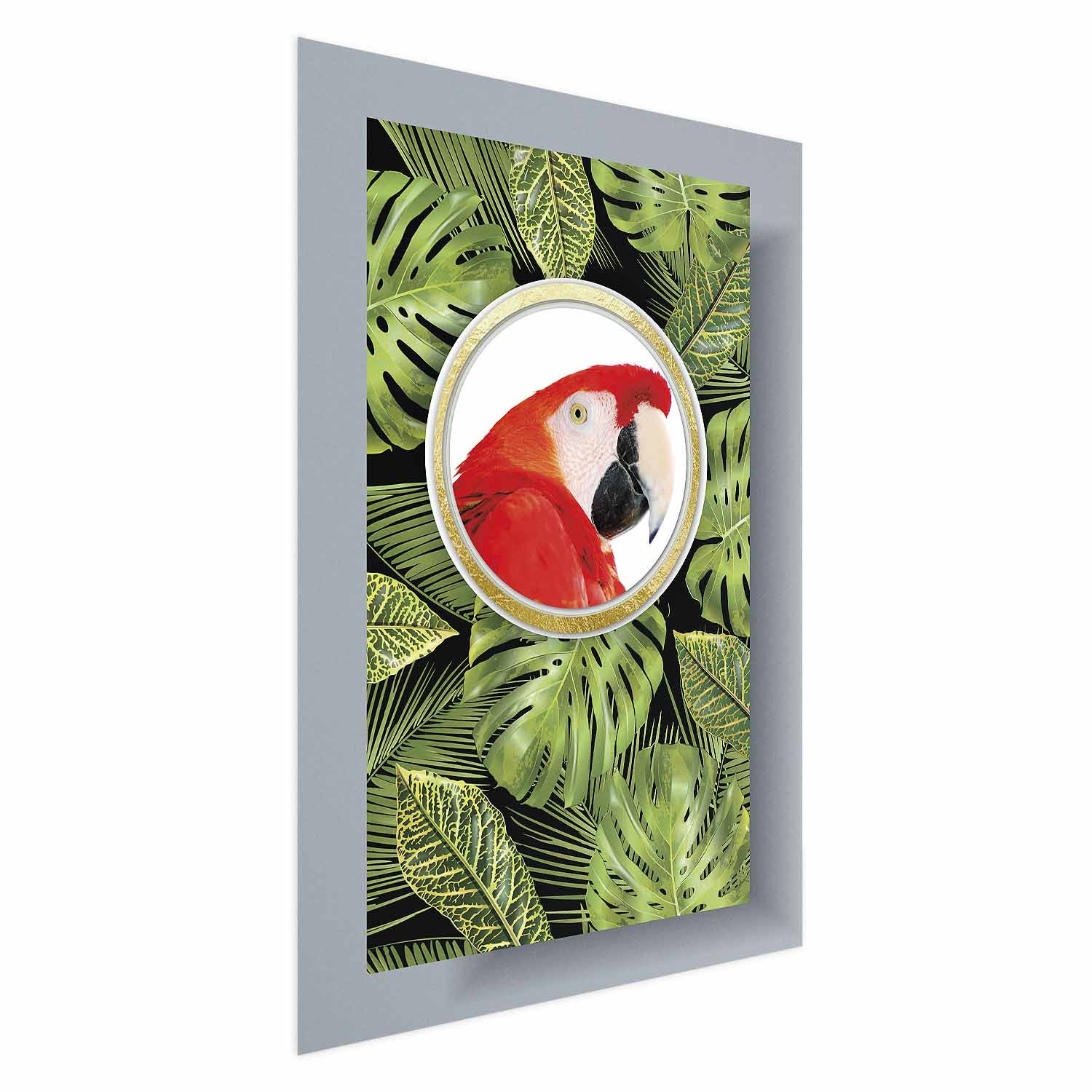 Plakat Papuga w dżungli 21x30 cm