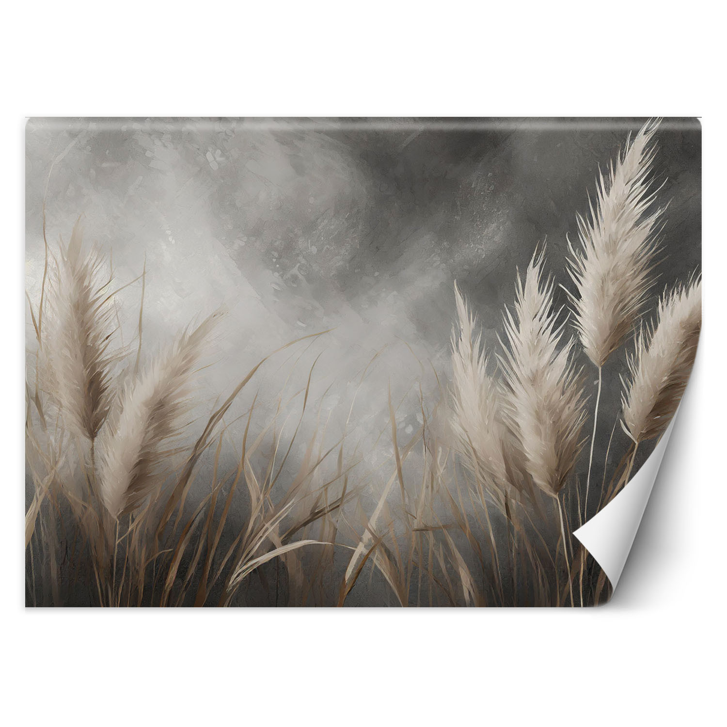 Fototapeta, trawa, natura, botanika