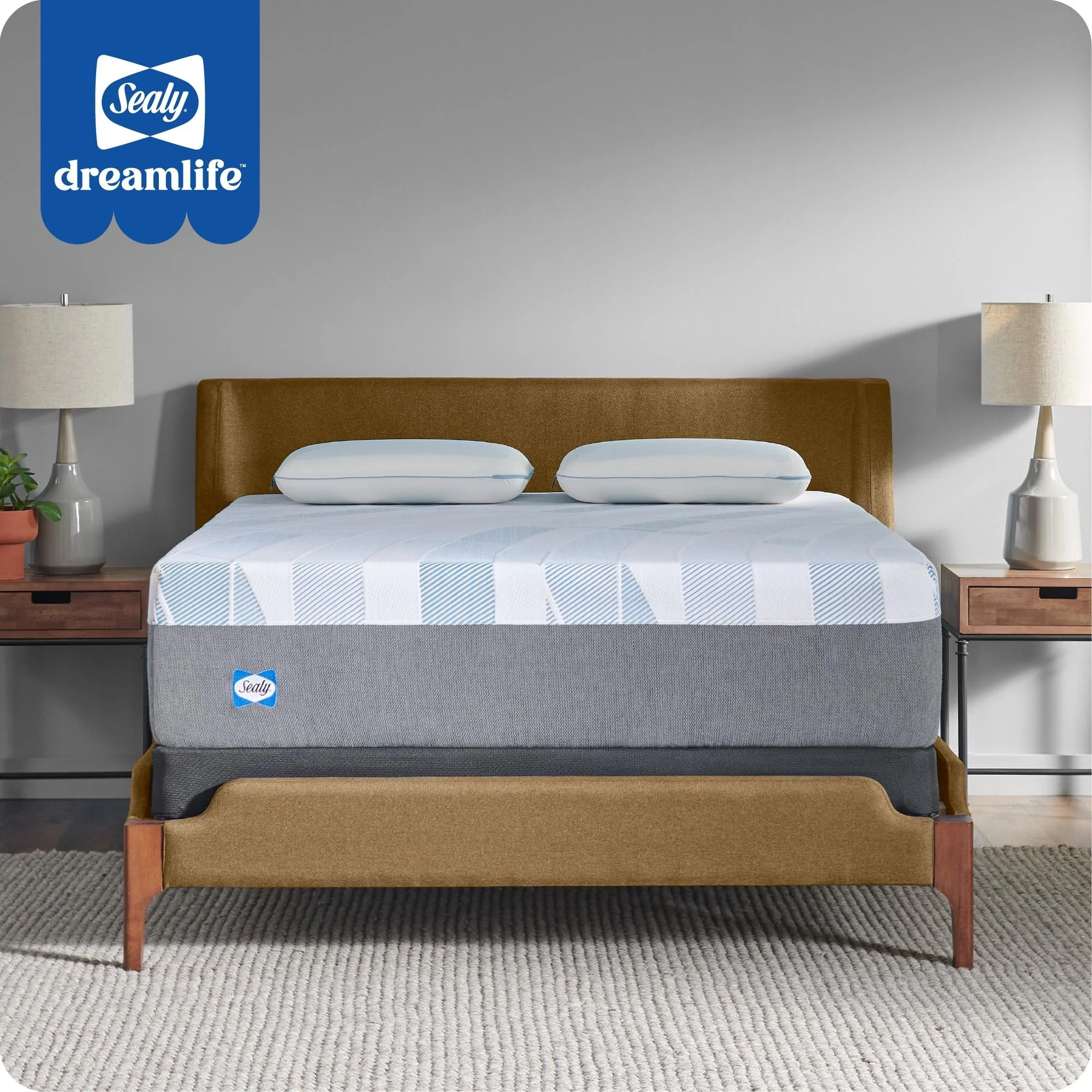 Sealy Dreamlife 14 Foam Mattress-in-a-Box