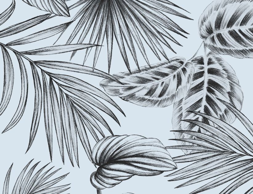 d-c-fix Glasdekorfolie Botanicals