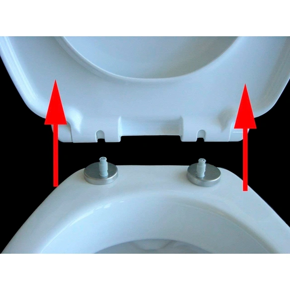 WC-Sitz »Ente«, mit Absenkautomatik