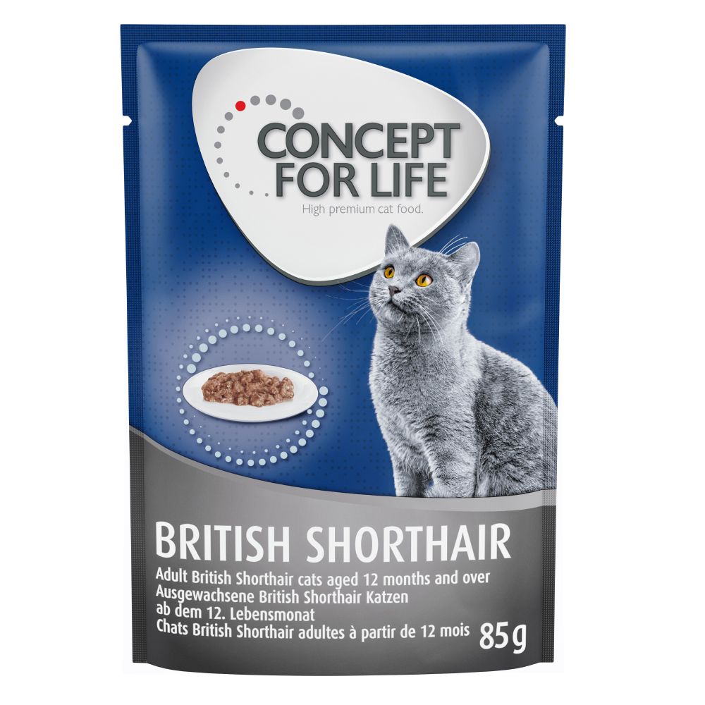 Concept for Life British Shorthair Adult - in Ragout
