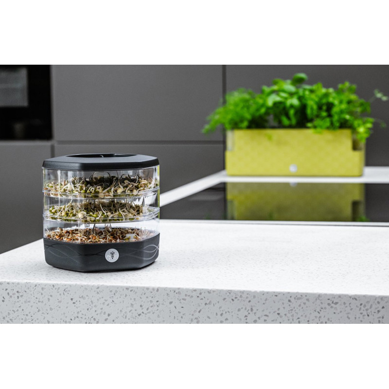 Tour de germination Mungo