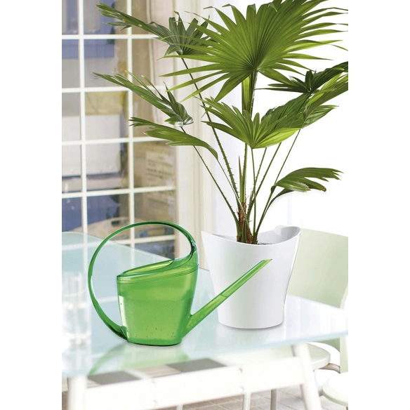 Gießkanne »LOOP«, 1,4 l, grün, Höhe: 23,5 cm