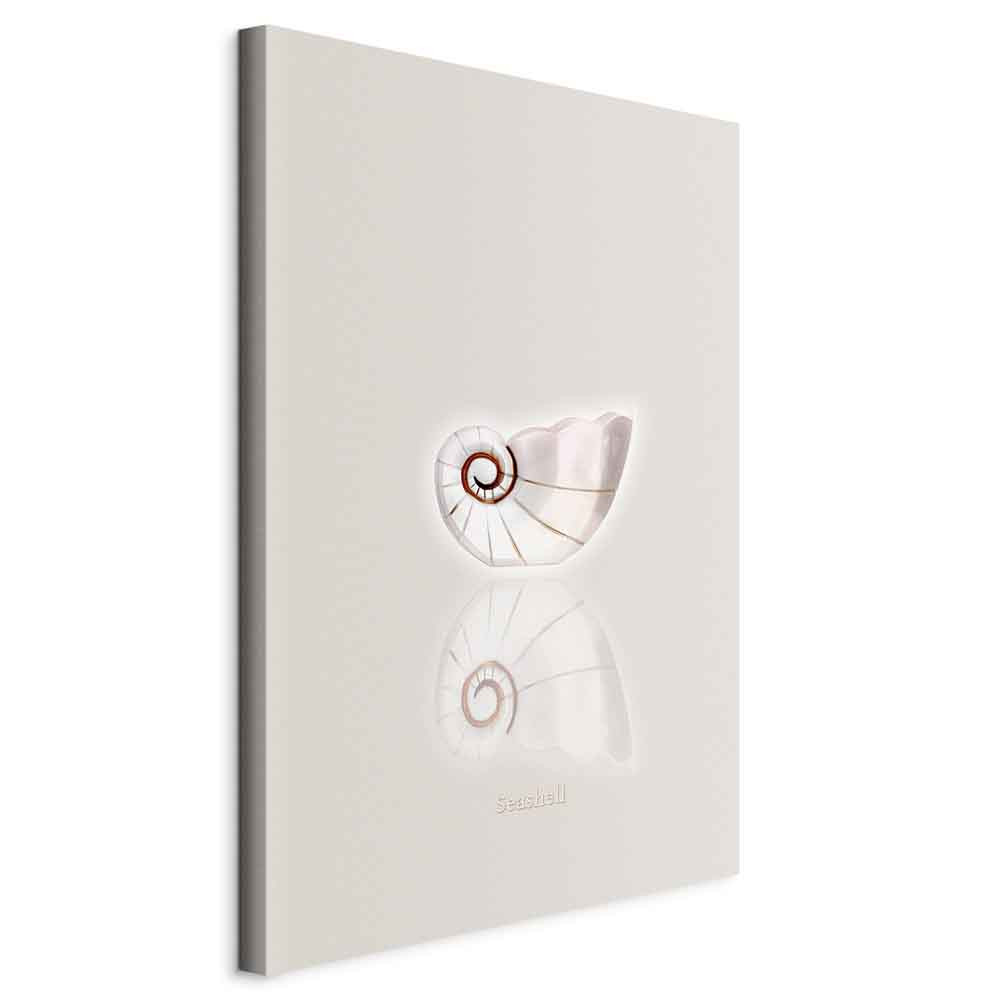 Obraz Ceramiczna muszla 20 x 30 cm