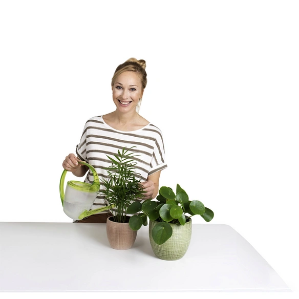 Gießkanne »LOOP«, 1,4 l, transparent, Höhe: 23,5 cm