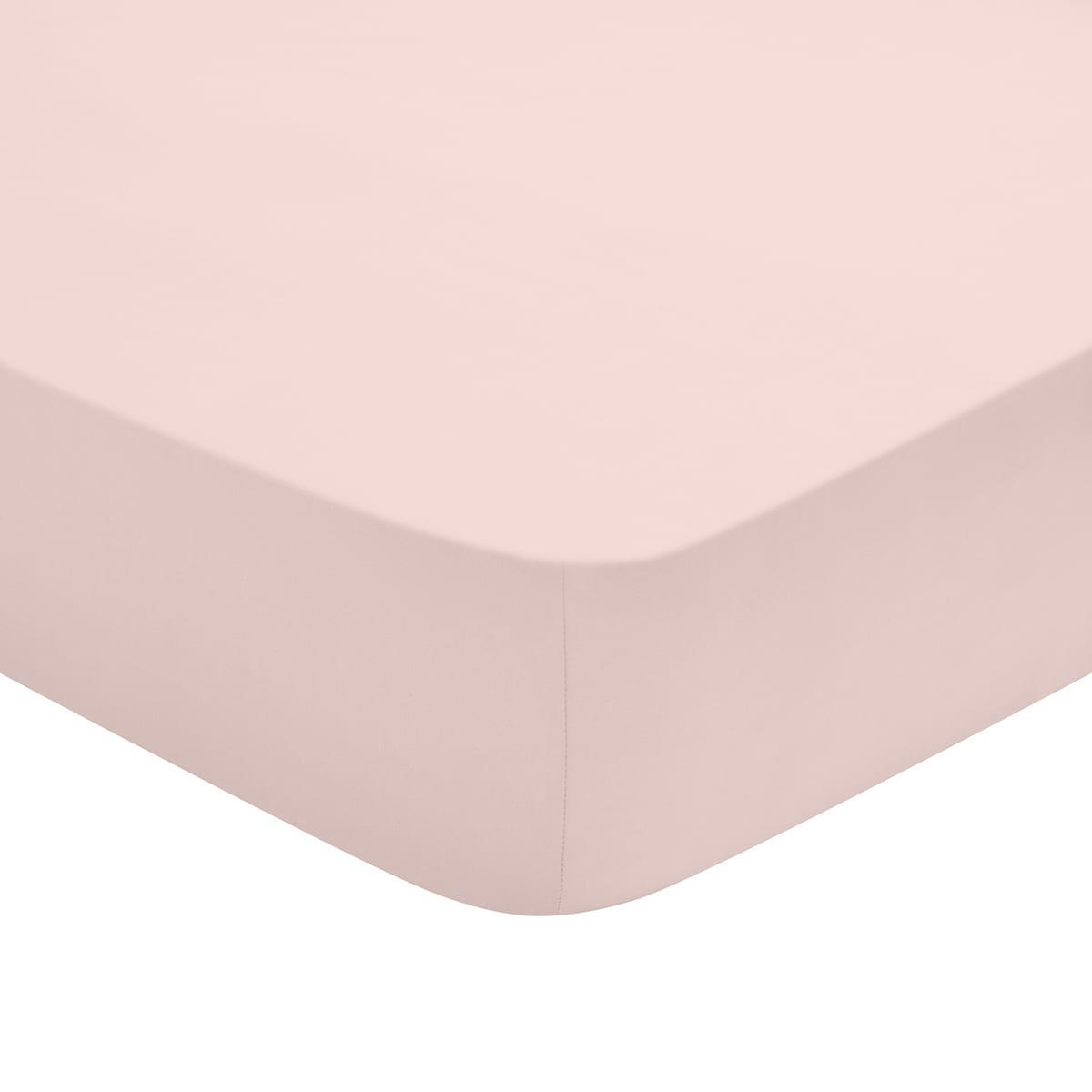 STUDIO - Drap Housse   Coton Poudre 90x190 cm - DODO