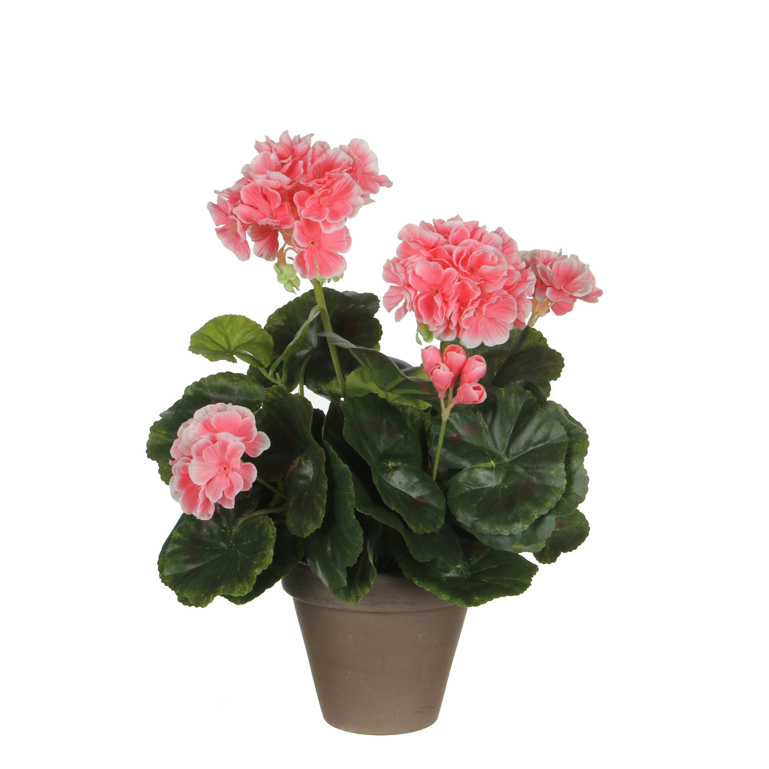 - Géranium artificielle pêche en pot H34