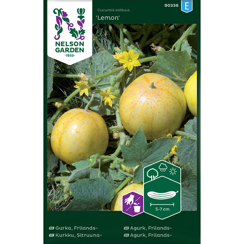 Äppelgurka 'Lemon'
