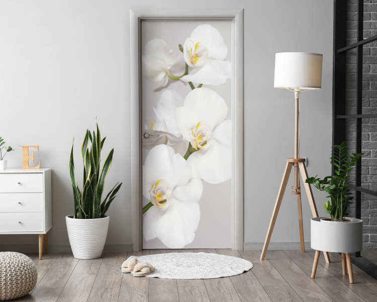Naklejka na drzwi Białe orchidee 75x205 cm Fototapeta