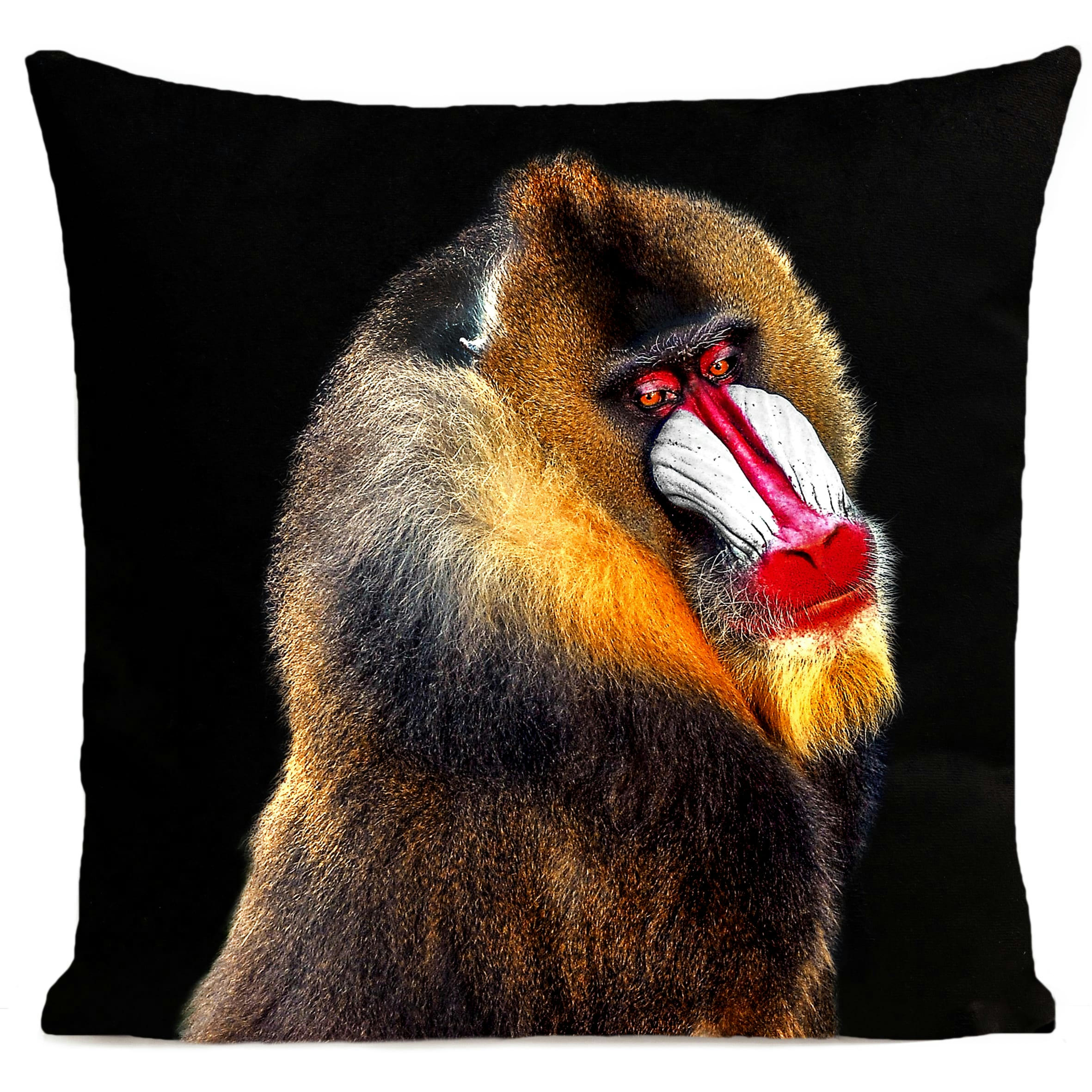 - Coussin tropical singe suédine noir 40x40cm