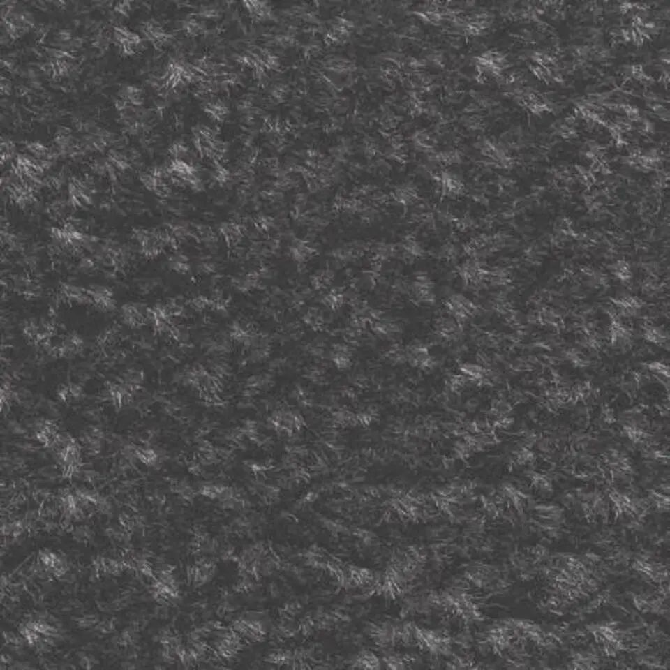 Schoonloopmat Future 60x80cm antraciet