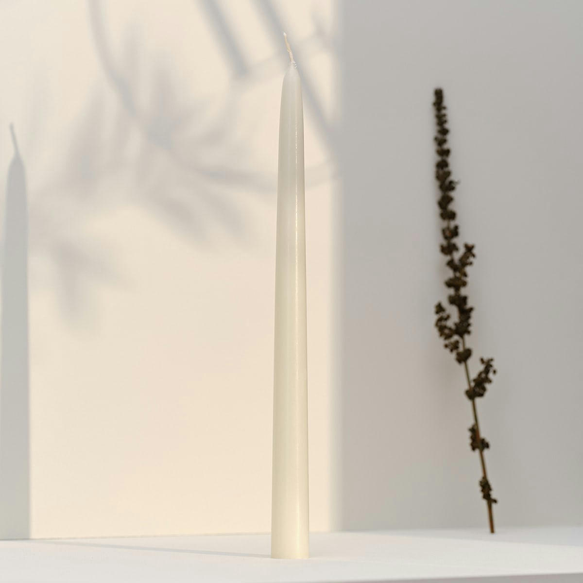 - 12 bougies flambeaux 8h Ivoire Intemporel