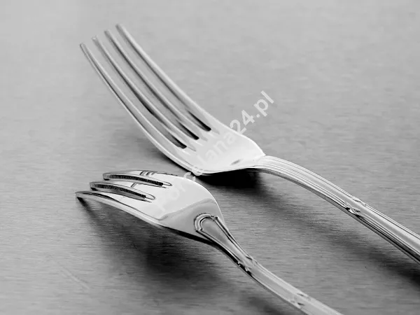Komplet sztućców 65 cz. na 12 osób Pintinox 1929 - Filet (2.5 mm) 23.FIL.K65