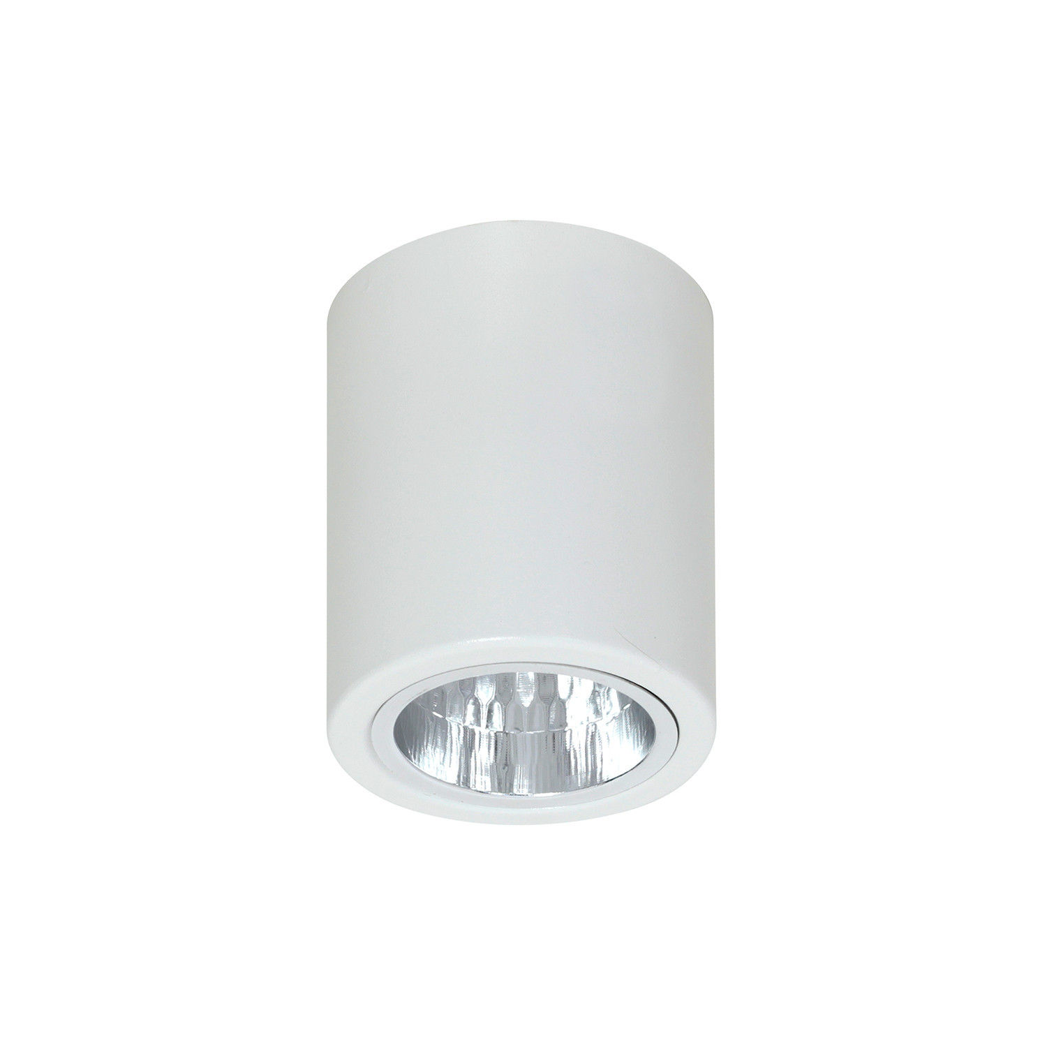 Spot reflektor okrągły biały mat Downlight round 1xE27x15W IP20 Luminex