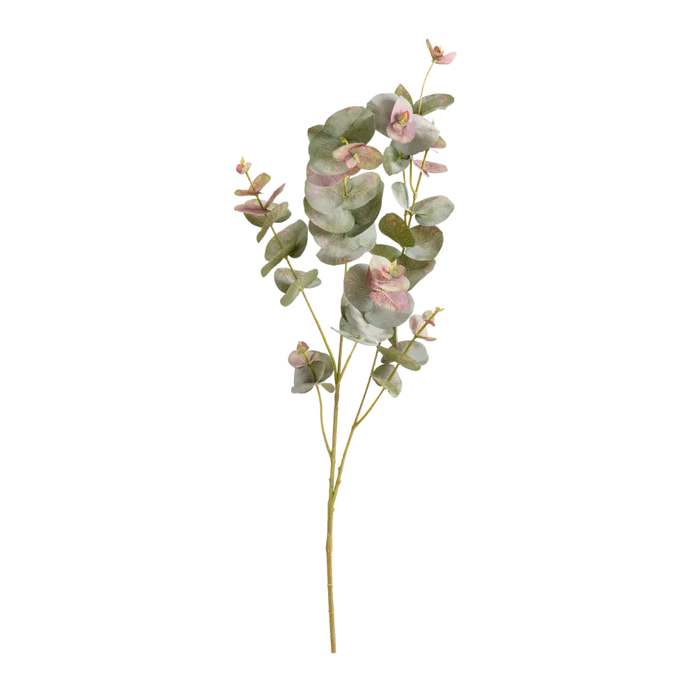 Kunstblume Eukalypa