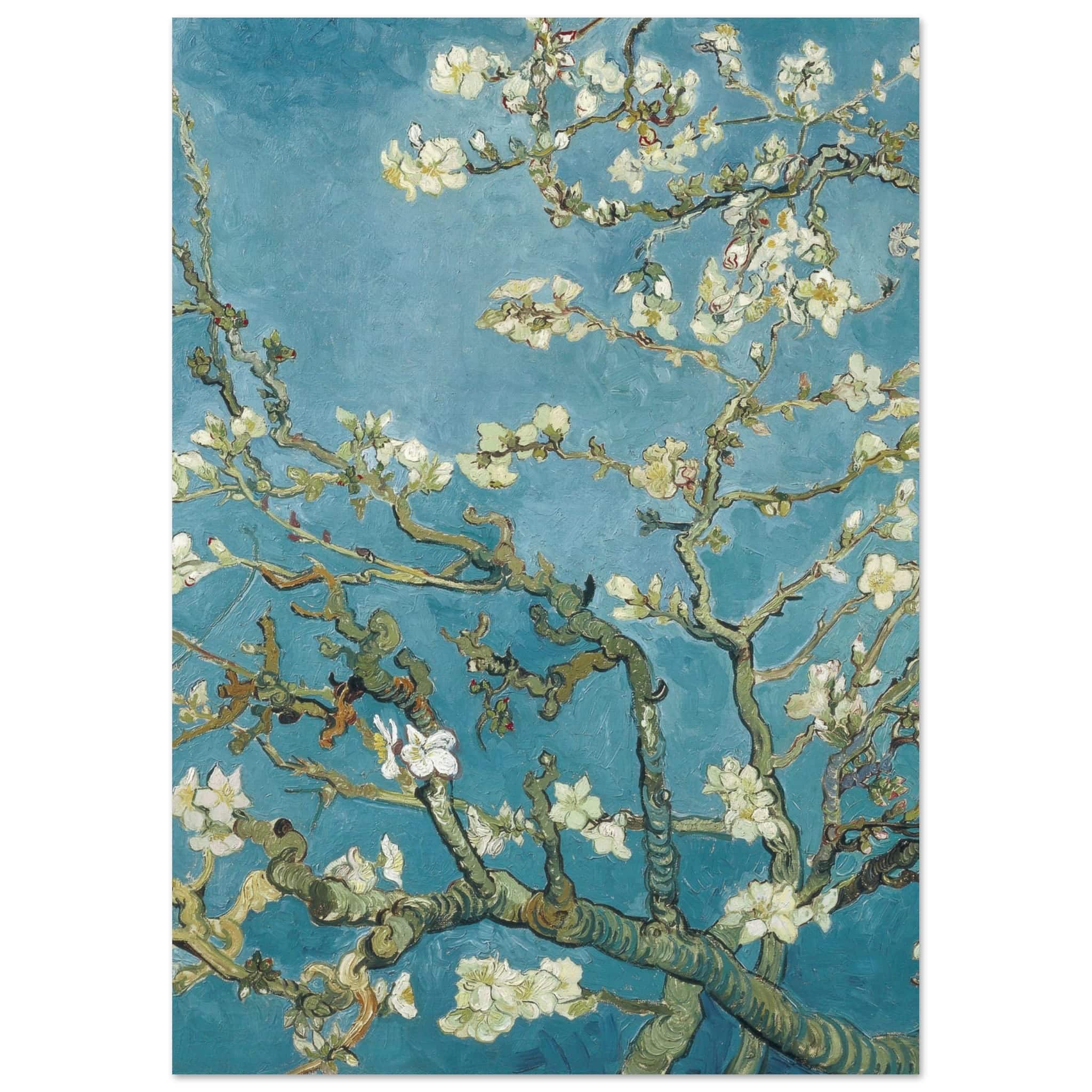 Artfulprints Poster Vincent van Gogh - Amandelbloesem  - A4 21x29.7 cm - Blauw