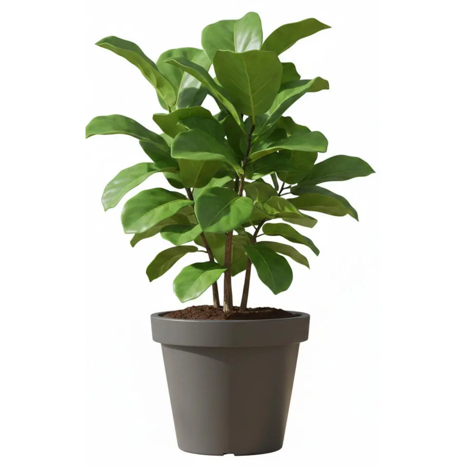 Prosperplast Bloempot - D50 x H42 cm - donkergrijs - kunststof