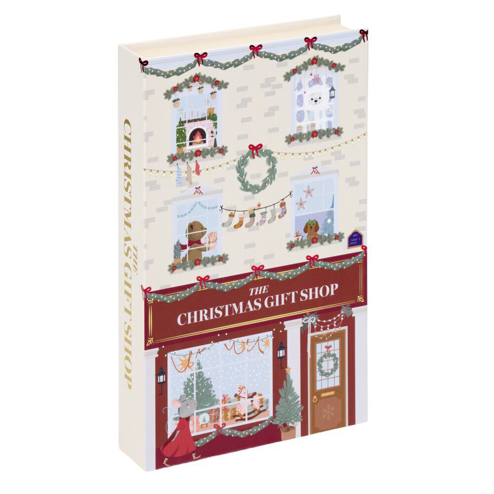 BoÎte livre décorative de No&euml;l H24cm (2 modèles)