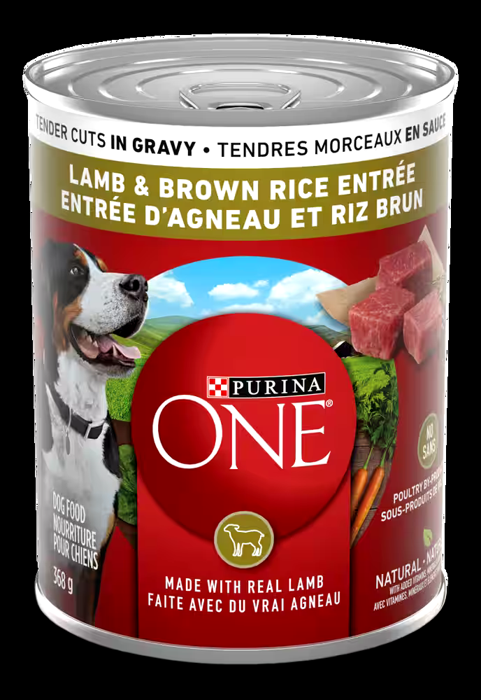 Purina One SmartBlend Lamb and Rice in Gravy Adult Wet Dog Food, Natural with Added Nutrients, 368-g