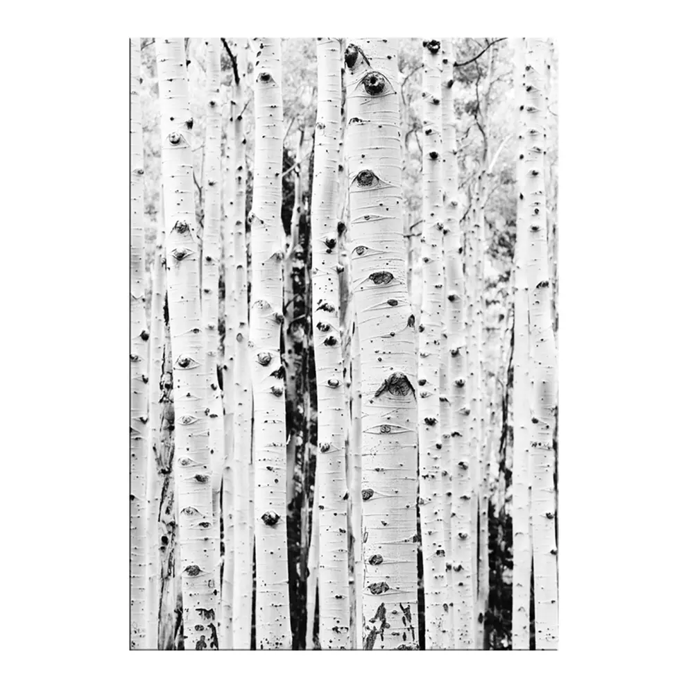 Leinwandbild Arven