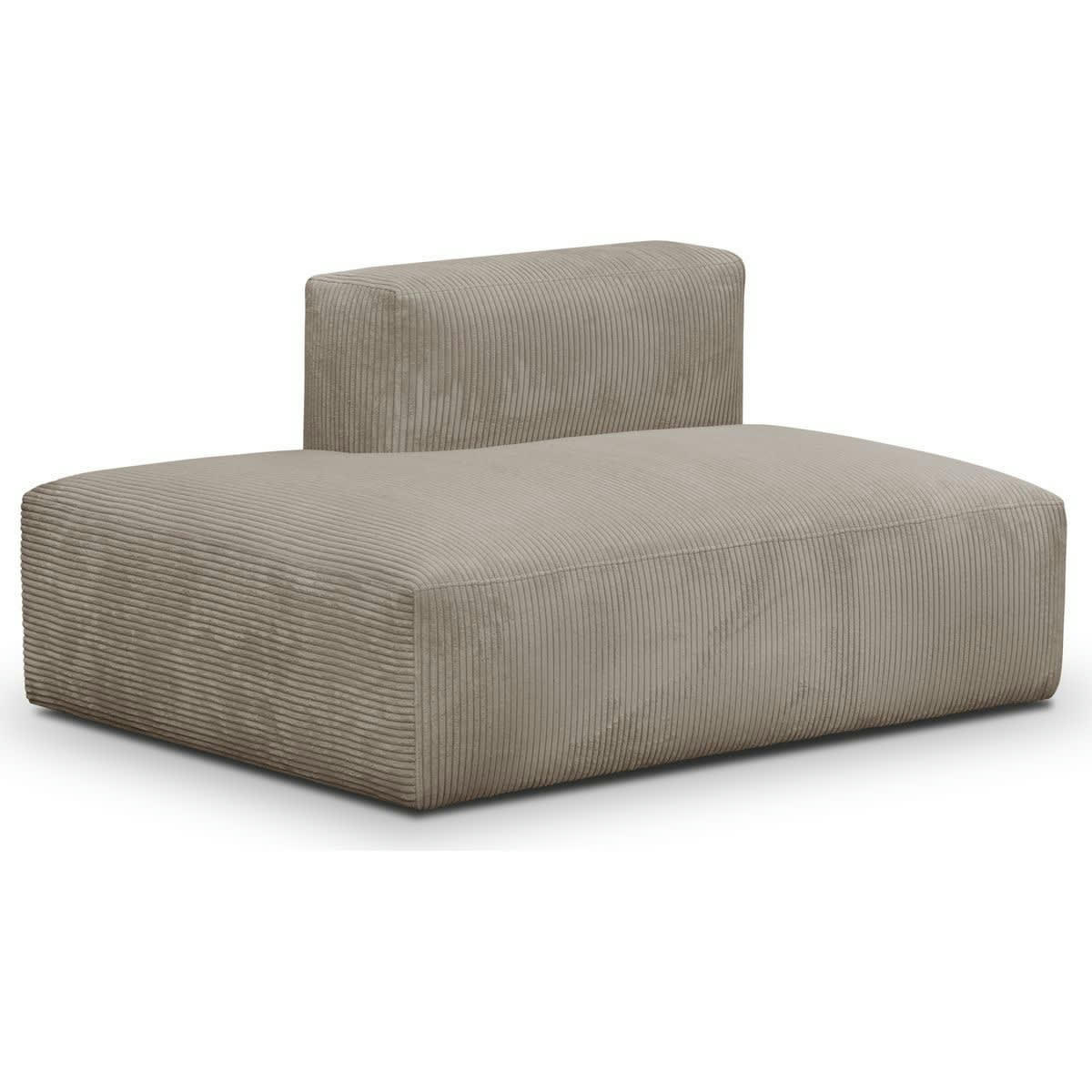 MODULO NEW - Module d