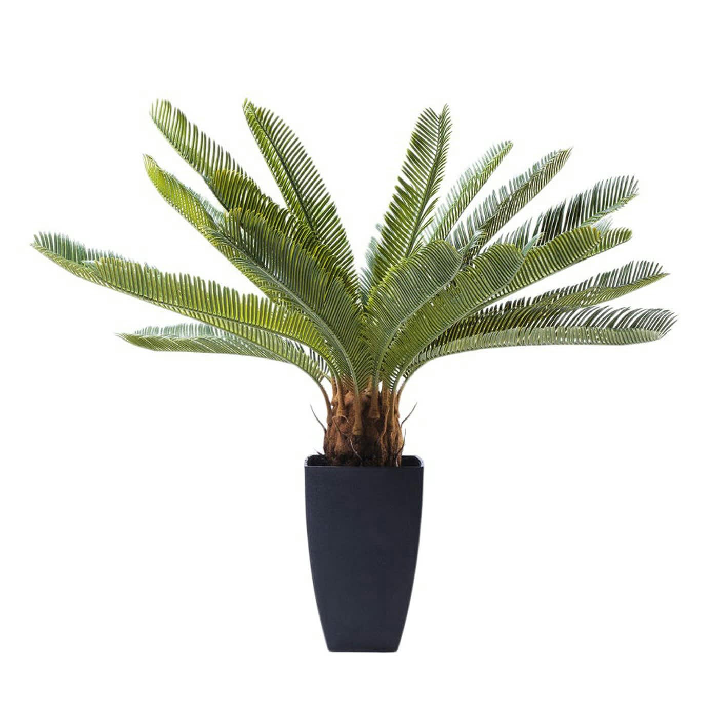 CYCAS TREE - Plante artificielle palmier en polyéthylène et béton H78
