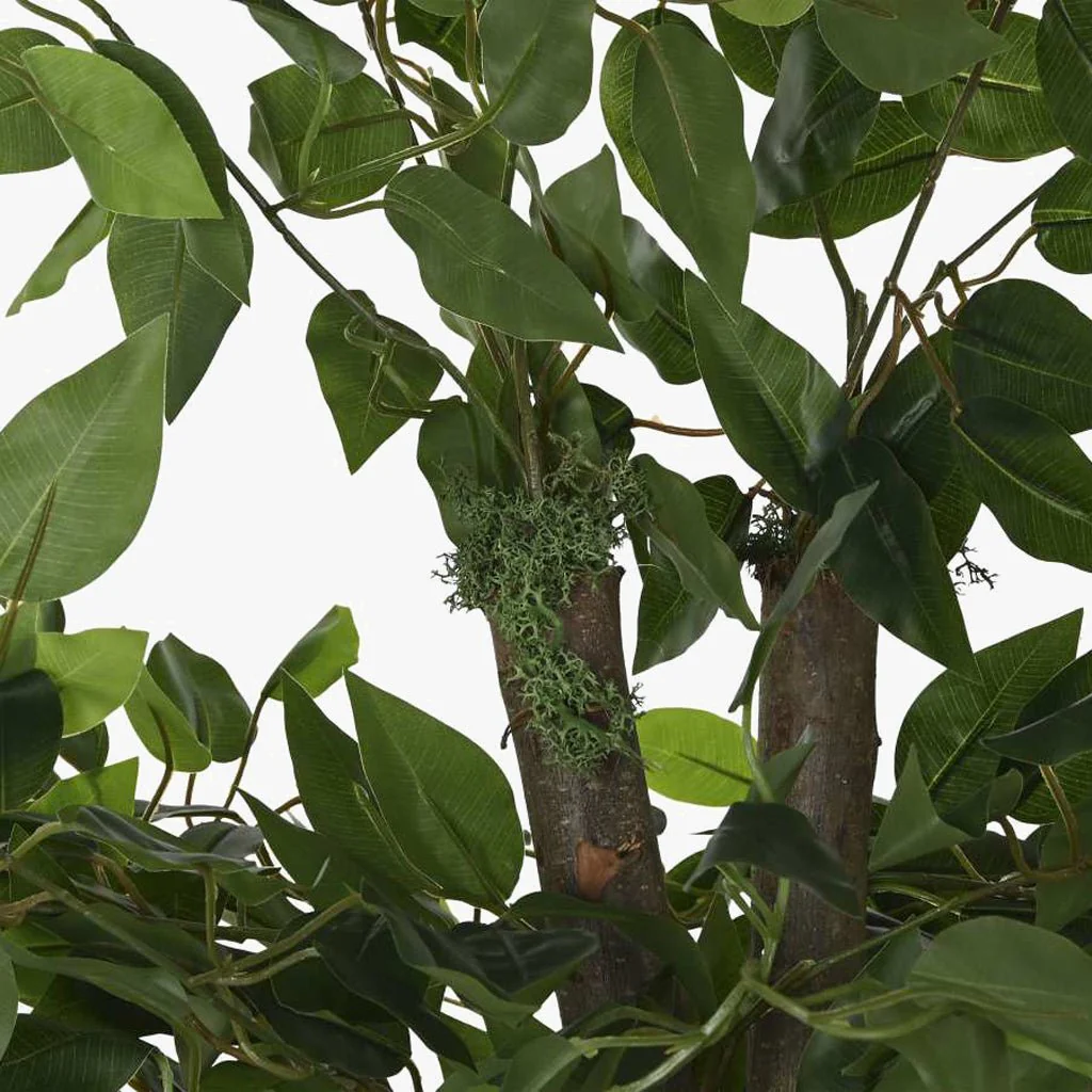 Árvore Ficus 180cm EVERLEAF