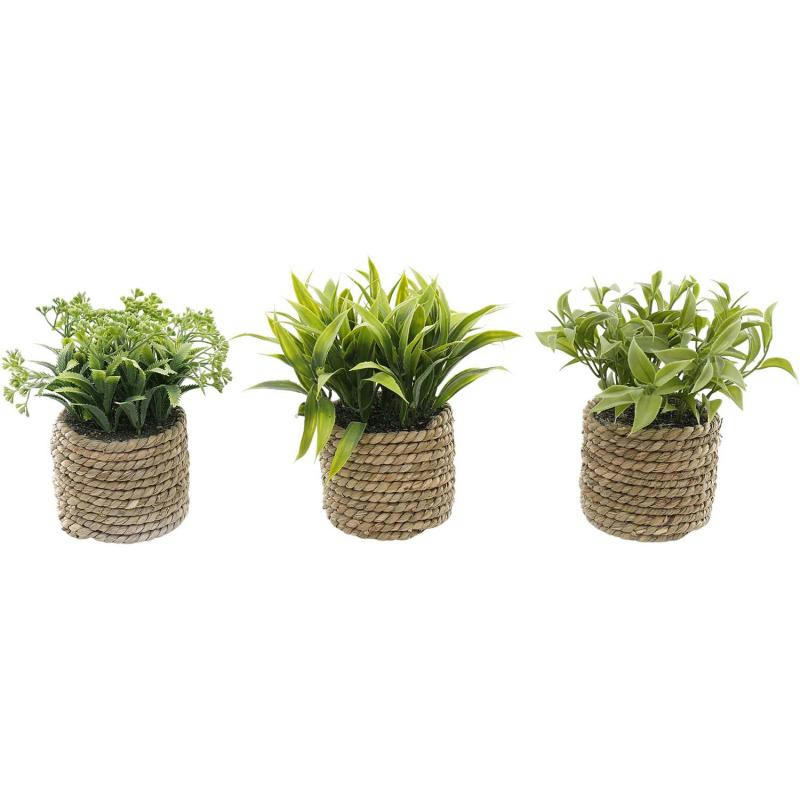 - Plante artificielle avec pot tressé (lot de 3)