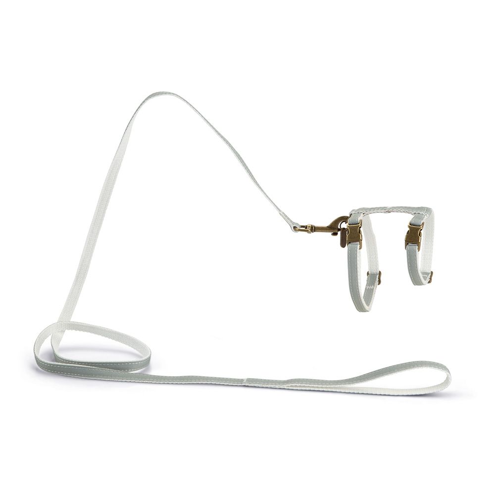 Designed by Lotte Virante Cat Set