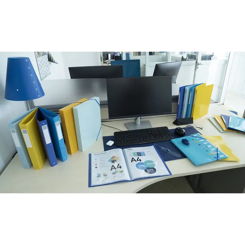 Aufbewahrungsbox Bee Blue