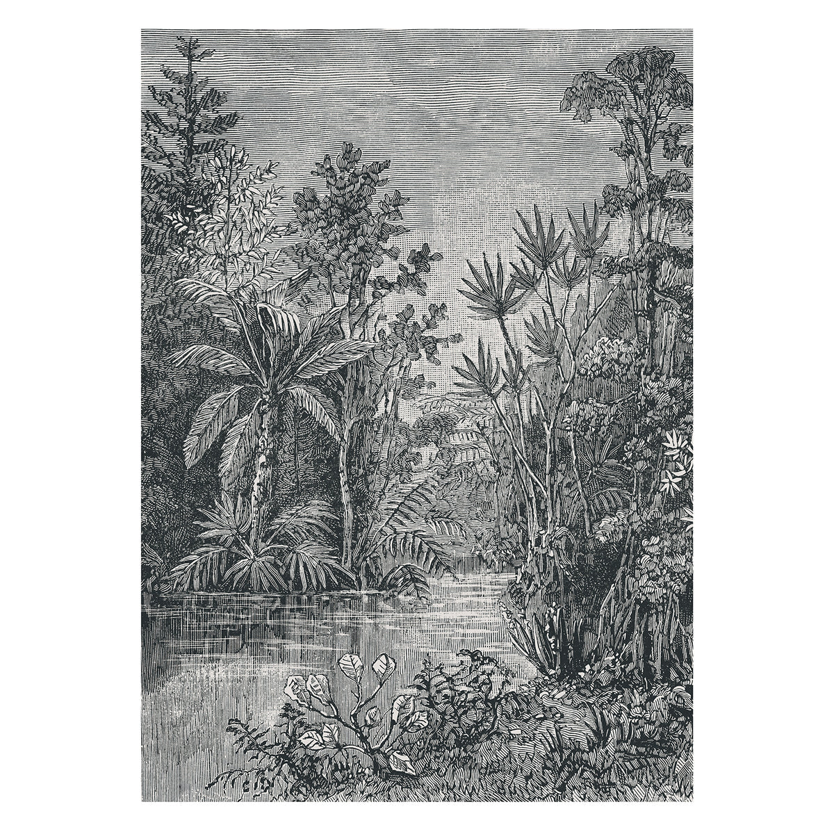 Superfresco Easy Fotobehang - Jungle - Zwart/Wit - 280x200 cm