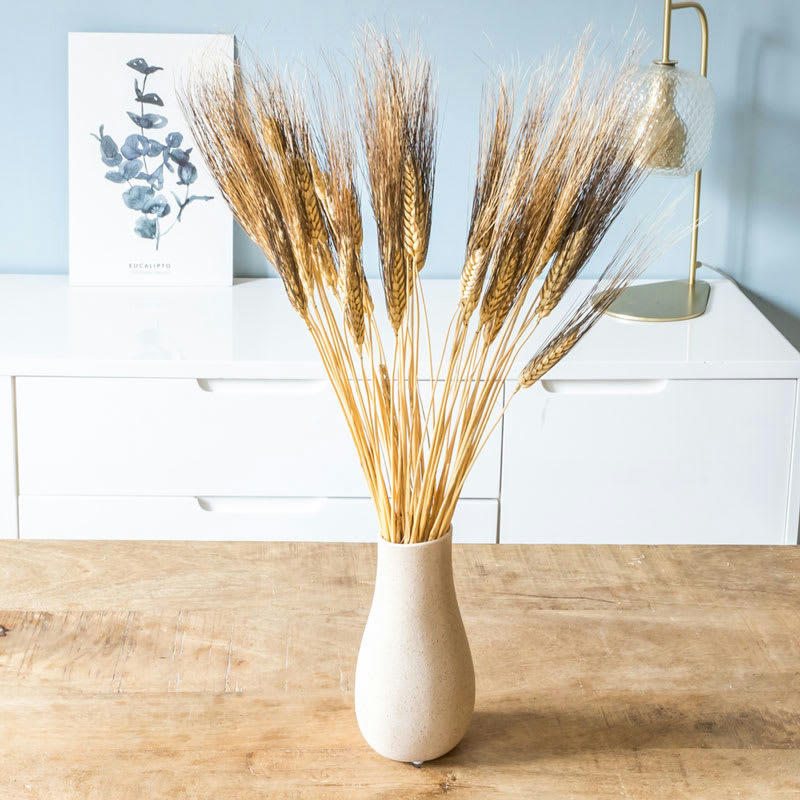 - Bouquet de fleurs séchées : Blé barbu noir 250g