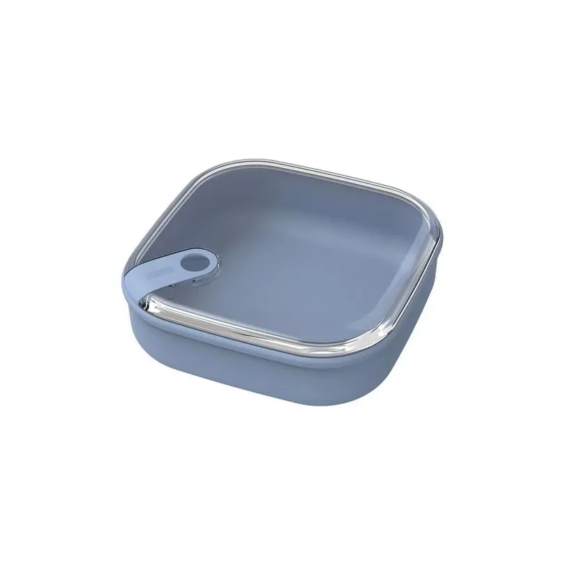 Lunch-Box Ela