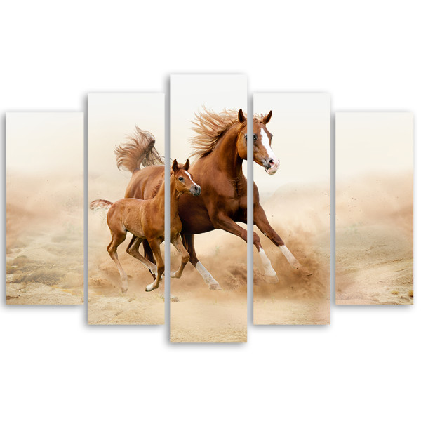 Feeby Obraz 5cz na płótnie Gniade Konie Galop Natura