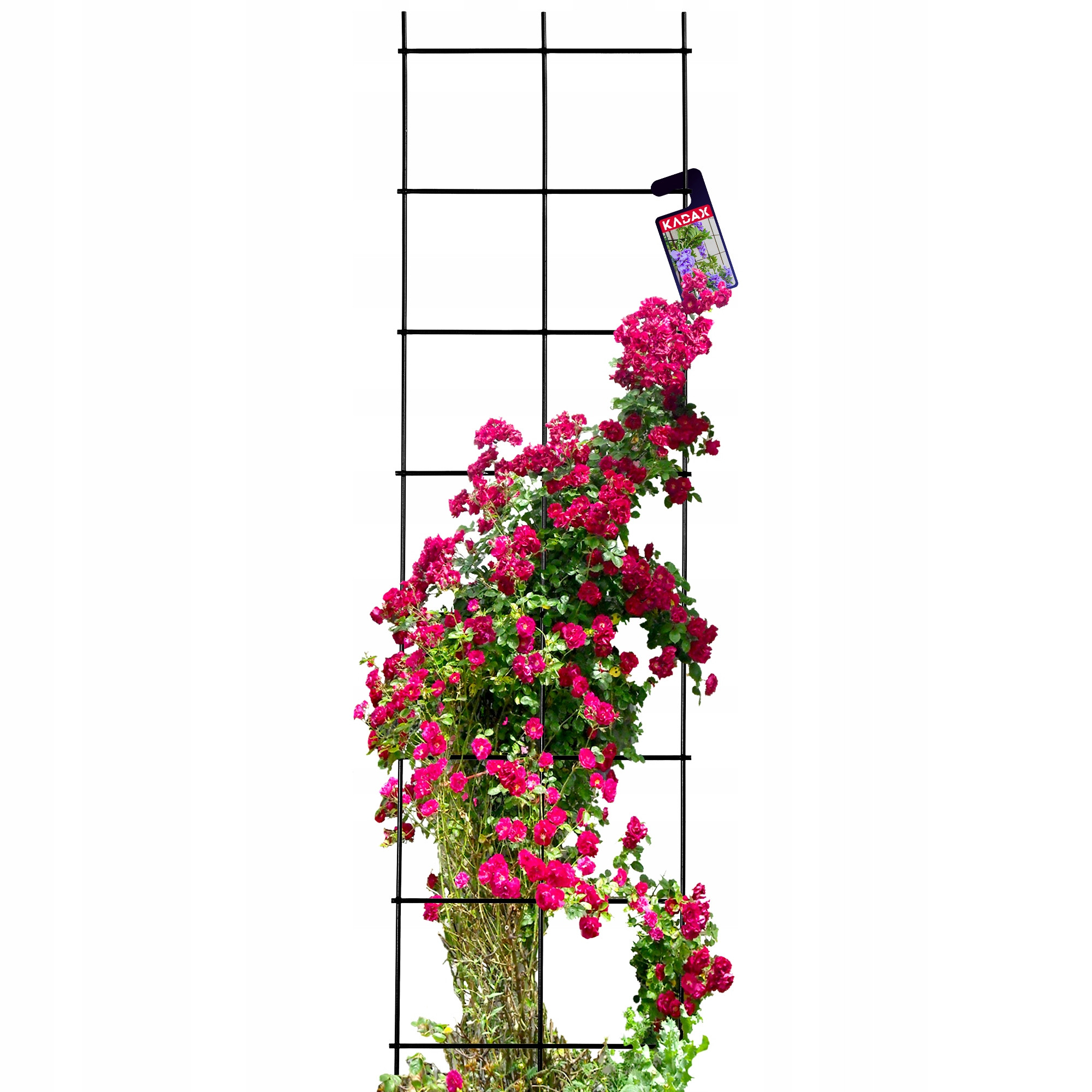 Krata Pergola Ogrodowa Do Roślin Pnących 35x120