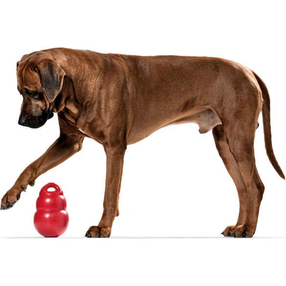 Hundespielzeug, mehrfarbig
