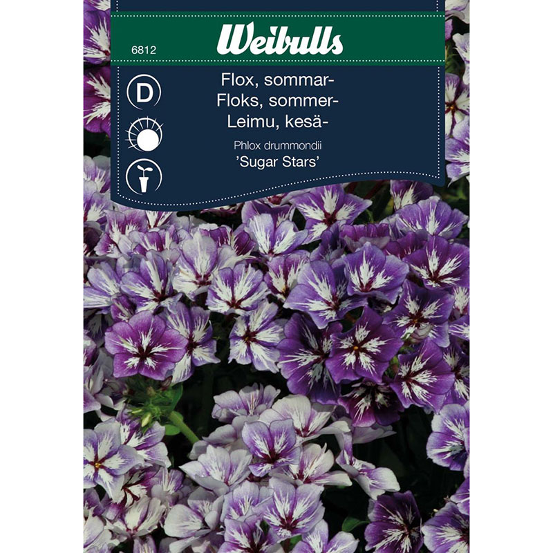 Sommarflox 'Sugar Stars'
