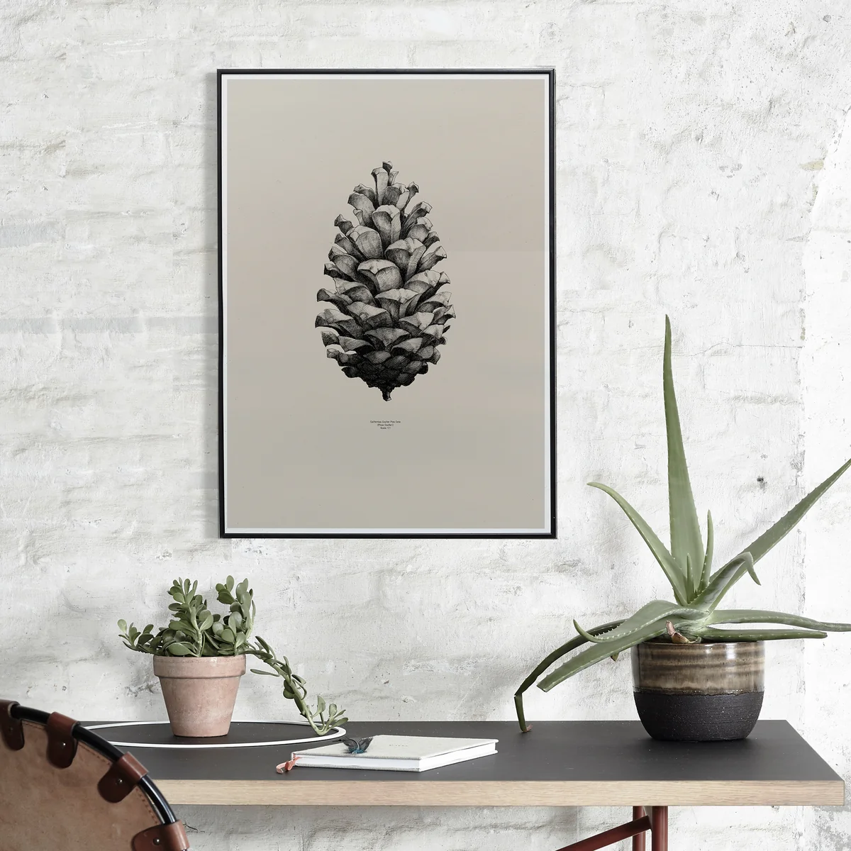 Paper Collective - Nature 1:1 Pine Cone (grey)