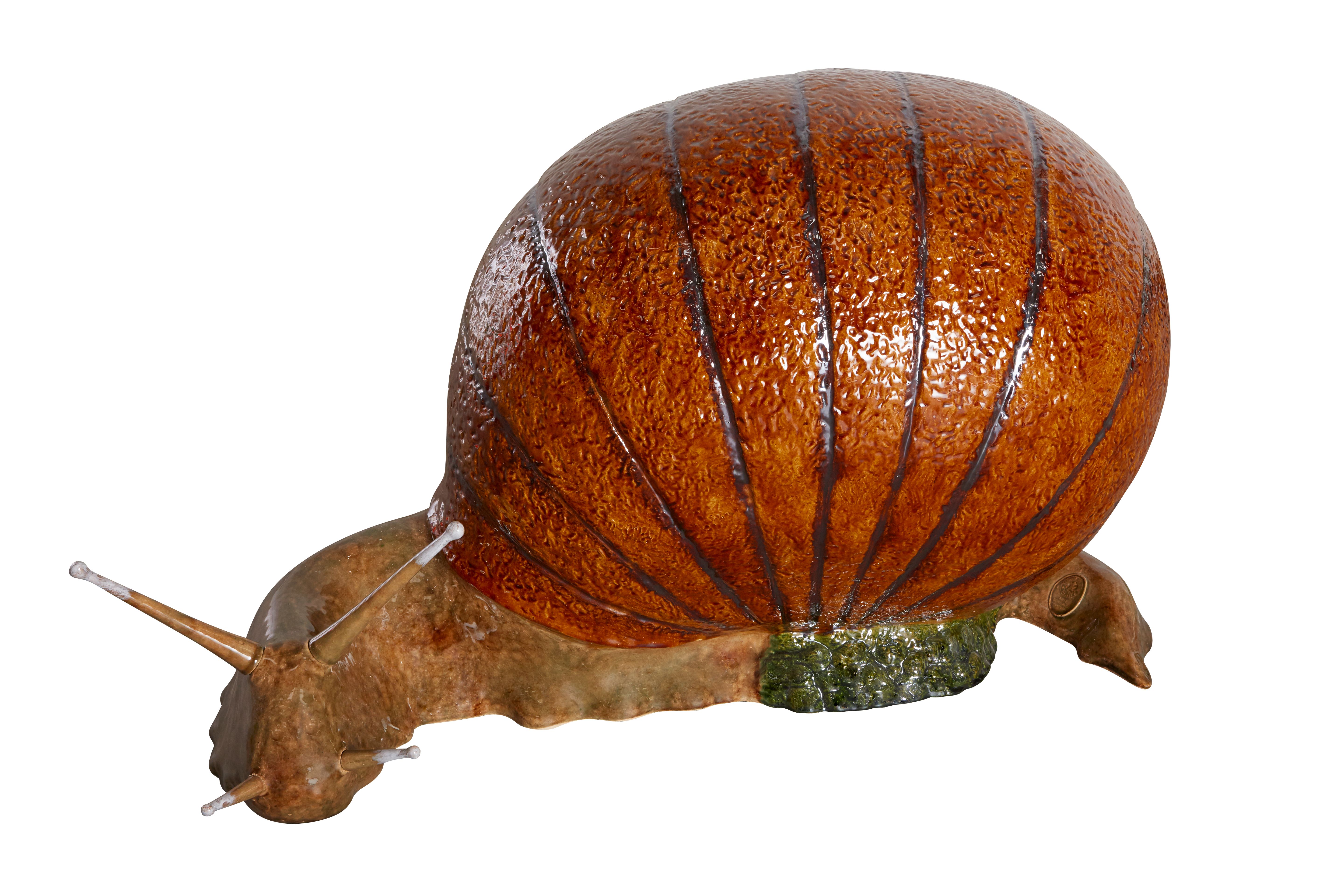 Caracol Gigante