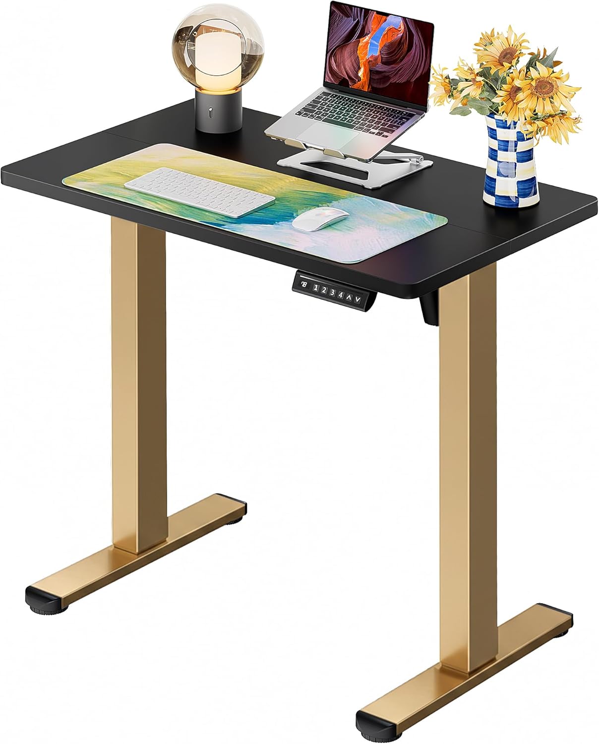 ErGear Height Adjustable Electric Standing Desk, 32 x 19 Inches Sit Stand up Desk, Memory Computer Home Office Desk, Black+Gold