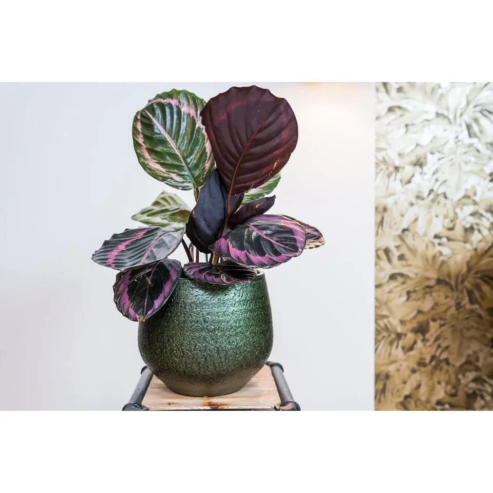 Ter Steege Plantenpot - keramiek - metallic donkergroen - 23x20cm