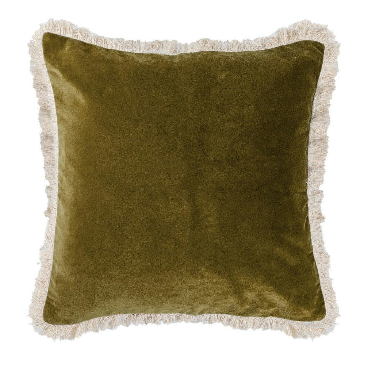 ANDREA - Coussin velours de coton  50x50 coriandre